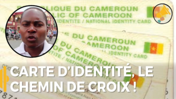 Vérifier la disponibilité de votre CNI ou votre Passeport camerounais est en ligne 2022