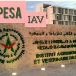 Concours APESA IAV 2022 au Maroc