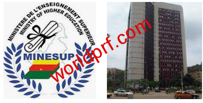 Les inscriptions en ligne dans les universités d'Etat au Cameroun