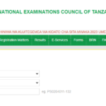 necta.go.tz National Examinations Results 2022 in Tanzania