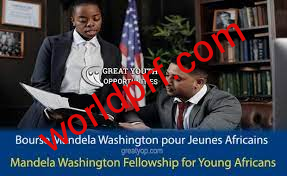 Bourse Mandela Washington pour Jeunes Leaders Africains en 2023
