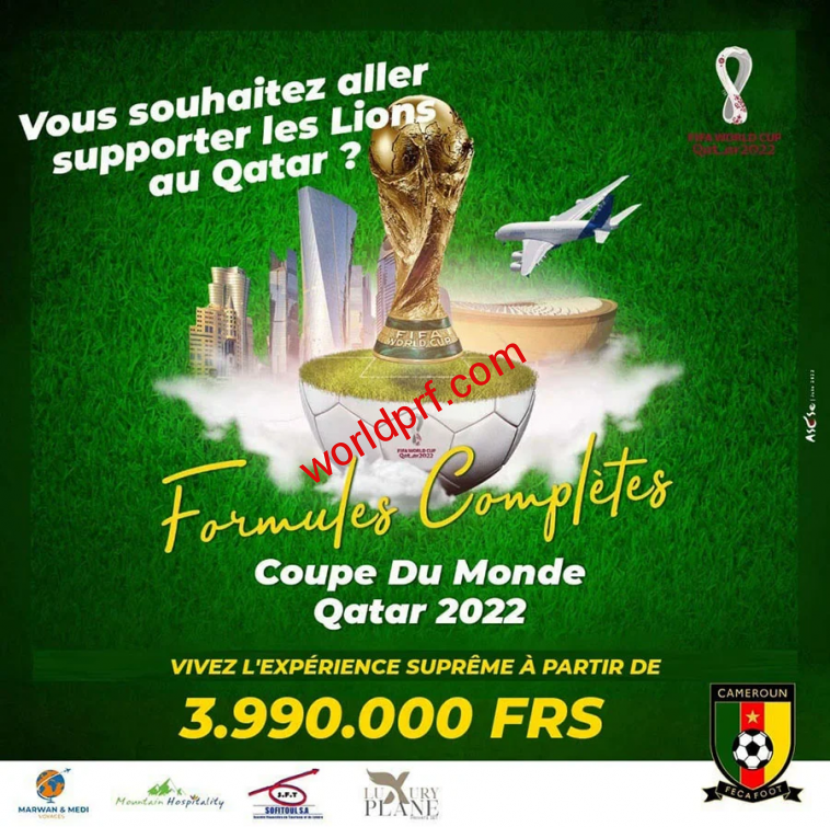 Coupe du monde 2022 : voici tous les tarifs pour aller au Qatar supporters les Lions indomptables du Cameroun.